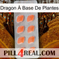 Dragon À Base De Plantes 26